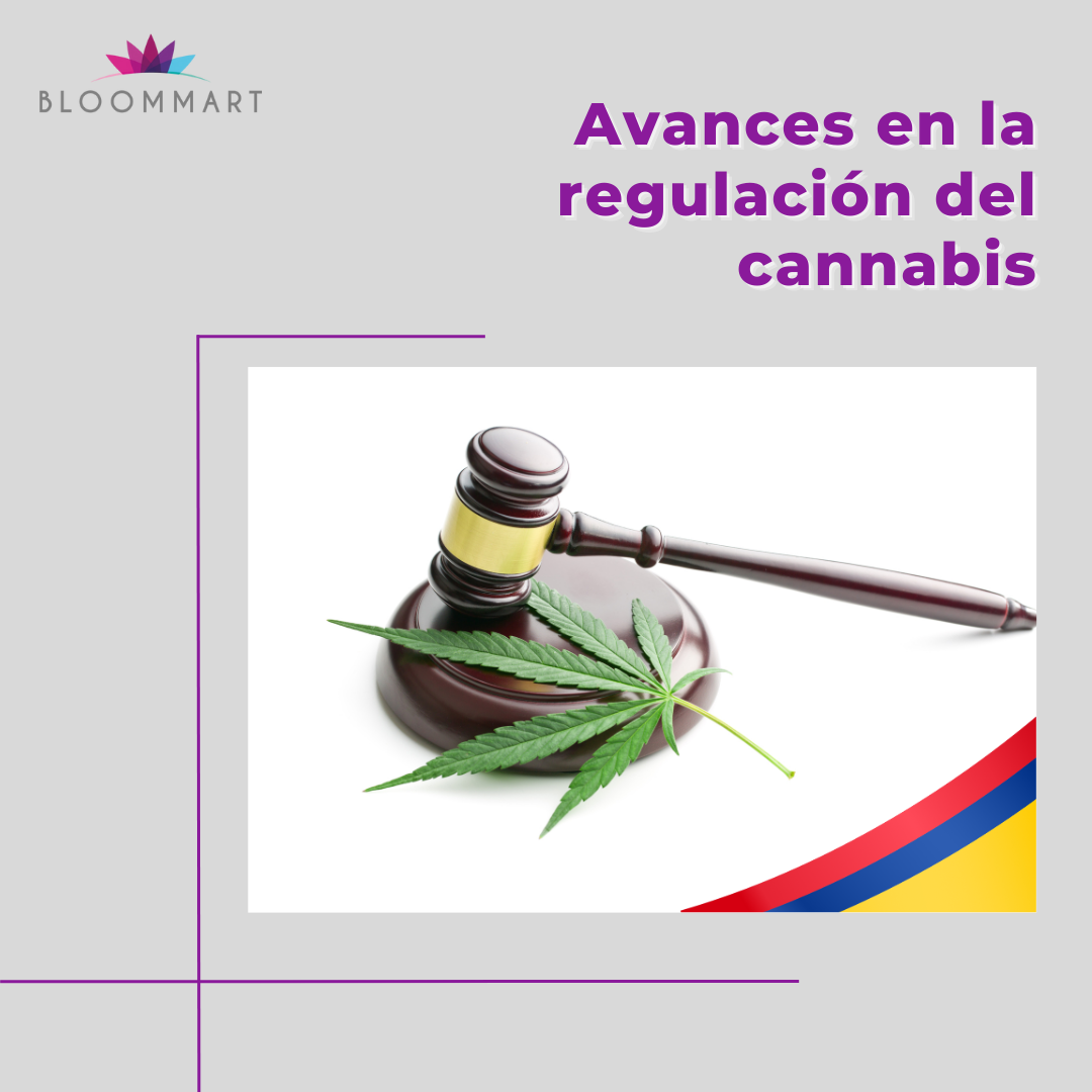 Avances en la regularización del cannabis en Colombia: Historia, situación actual y beneficios de la legalización del cannabis de uso adulto