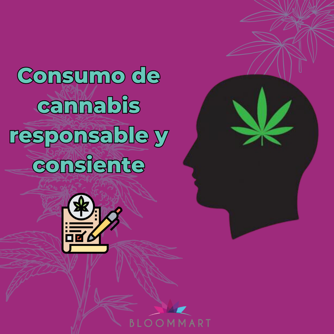 Guía completa para un consumo de cannabis responsable y consciente