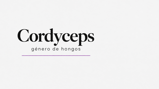 Cordyceps en Colombia: Qué Es y Cómo Viene en Cápsulas