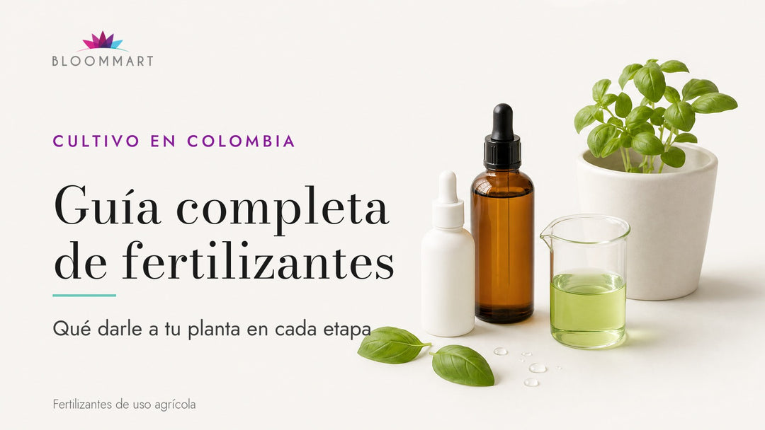 Guía completa de fertilizantes para cultivo en Colombia: nutrición etapa por etapa