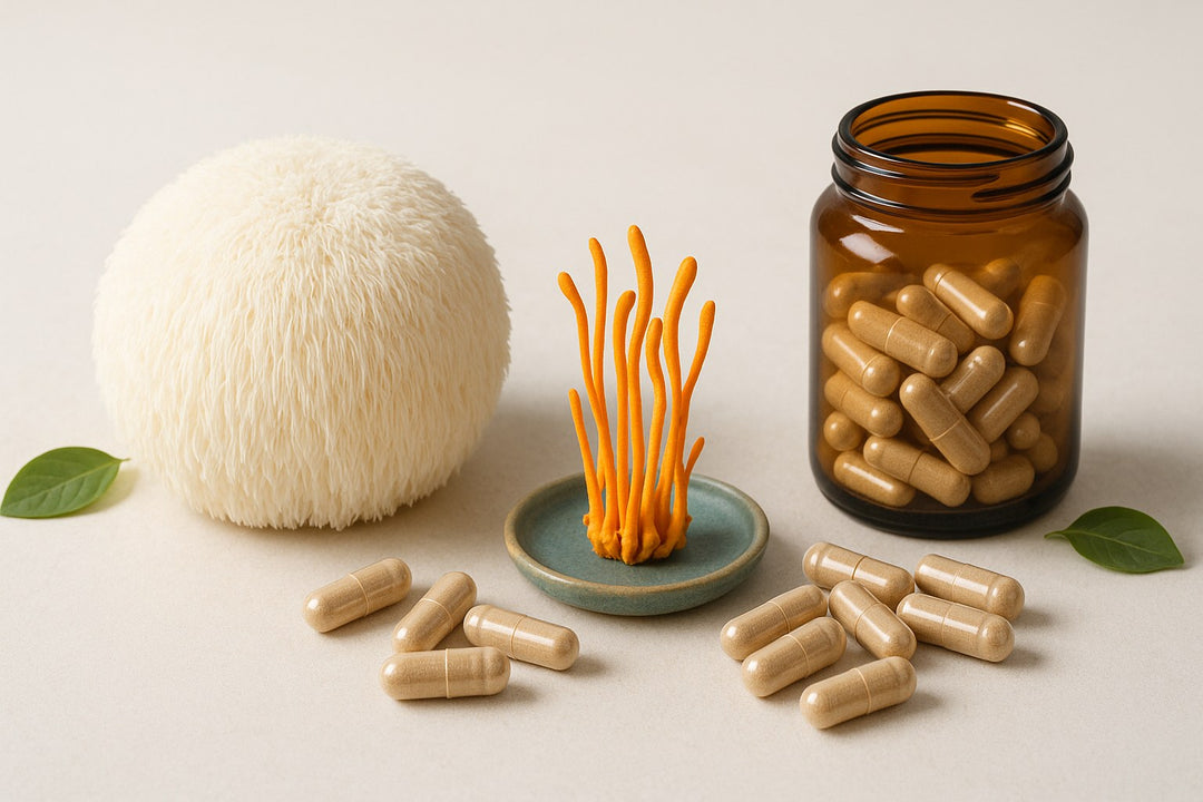 Melena de león, cordyceps y cápsulas de hongos funcionales sobre fondo claro — guía de compra Bloommart Colombia