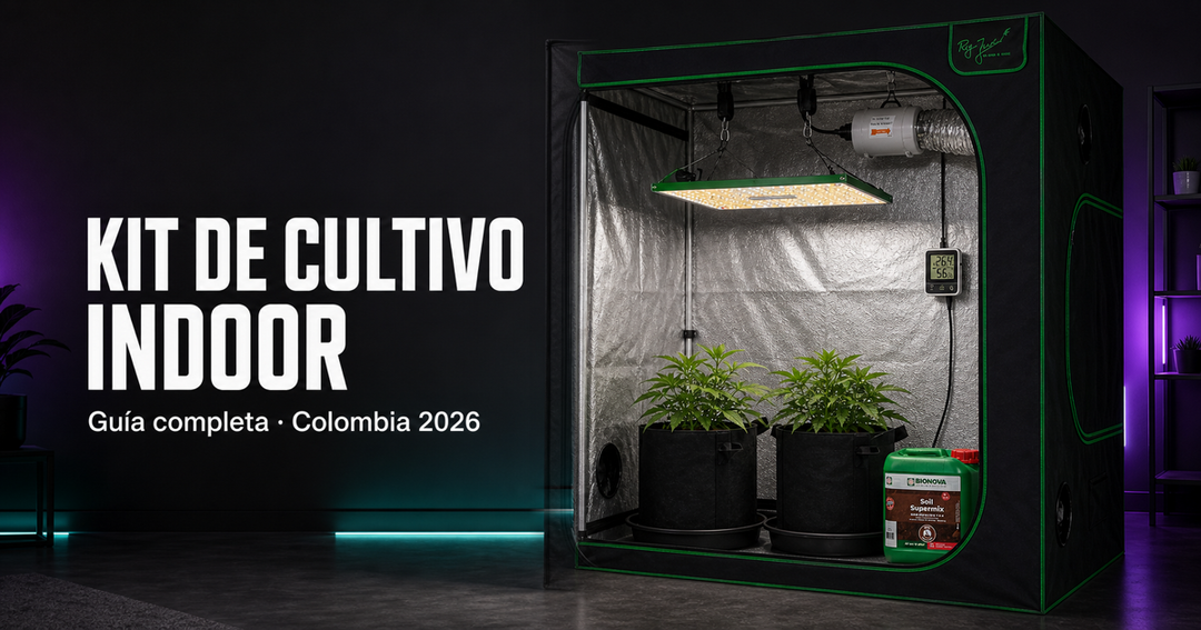 Cómo armar tu kit de cultivo indoor en Colombia: guía completa