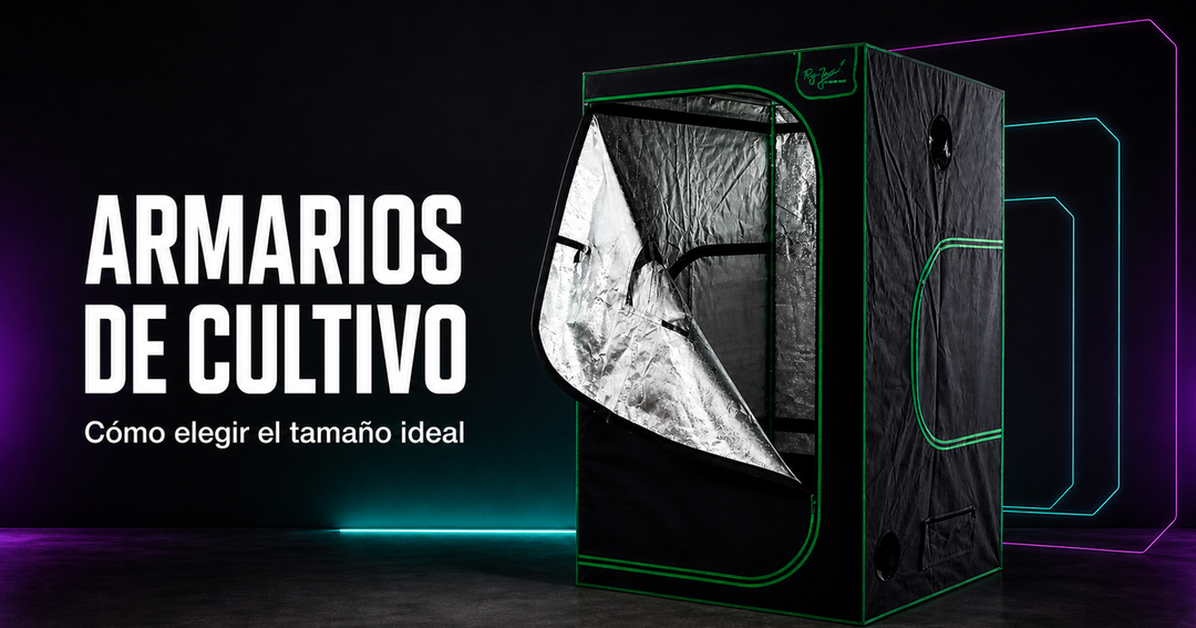 Armarios y carpas de cultivo: cómo elegir el tamaño correcto