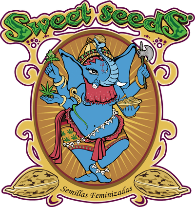 Semillas de marihuana Sweet Seeds Colombia