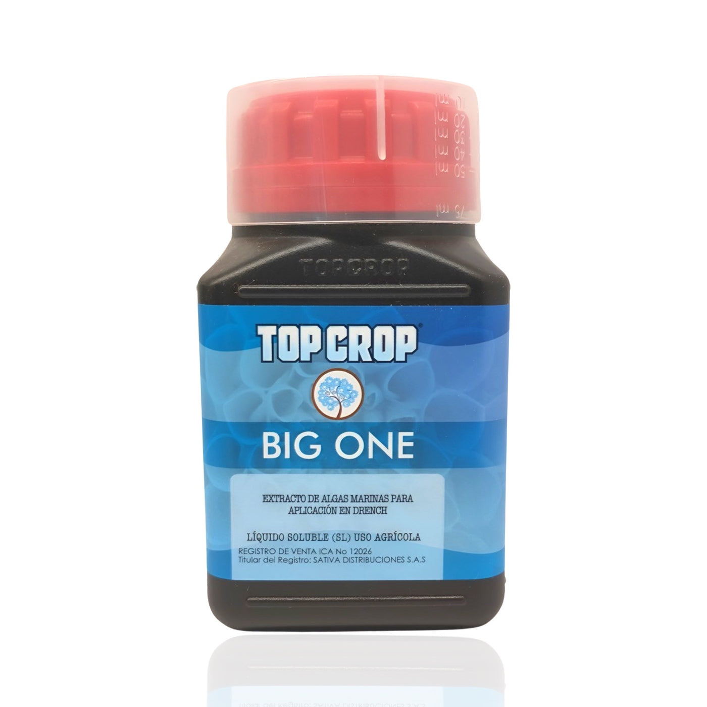 Big One - Top Crop - Bloommart Colombia