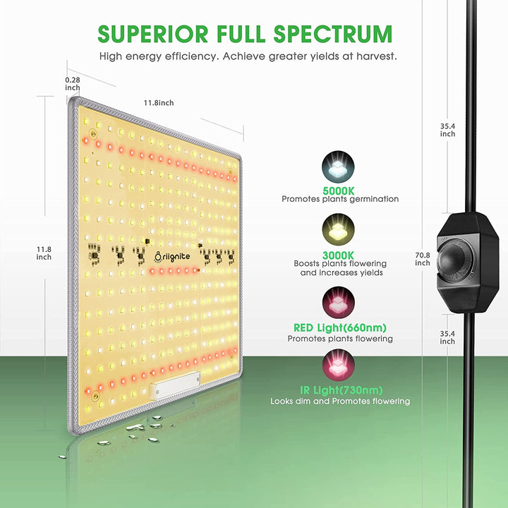 Panel LED 600W - Espectro Completo