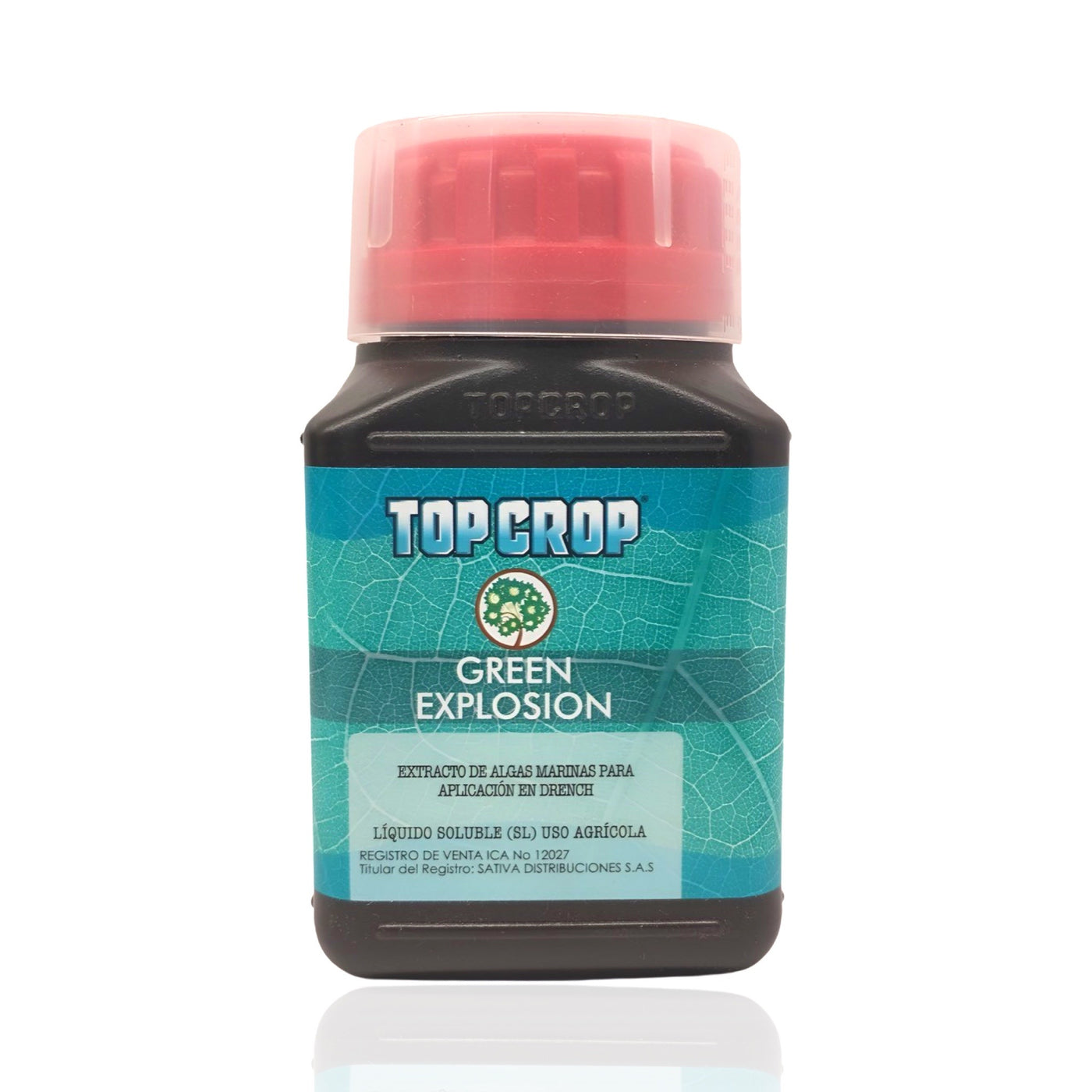 Green Explosion - Top Crop - Bloommart Colombia