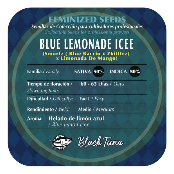 Panel de especificaciones del dorso de Blue Lemonade Icee de Black Tuna Seeds: semillas de colección feminizadas, familia sativa 50 por ciento e indica 50 por ciento, floración de 60 a 63 días, dificultad fácil y aroma a helado de limón azul