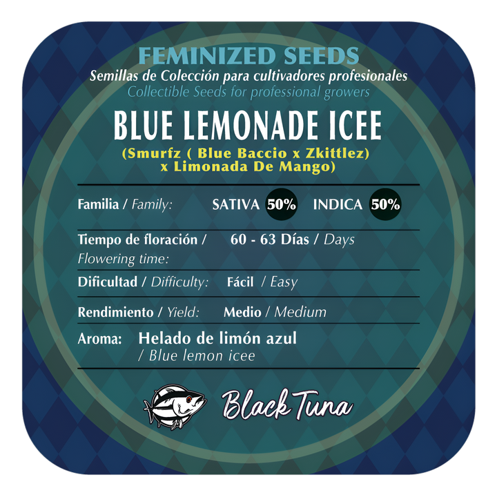 Blue Lemonade Icee Semillas Feminizadas | Black Tuna Seeds