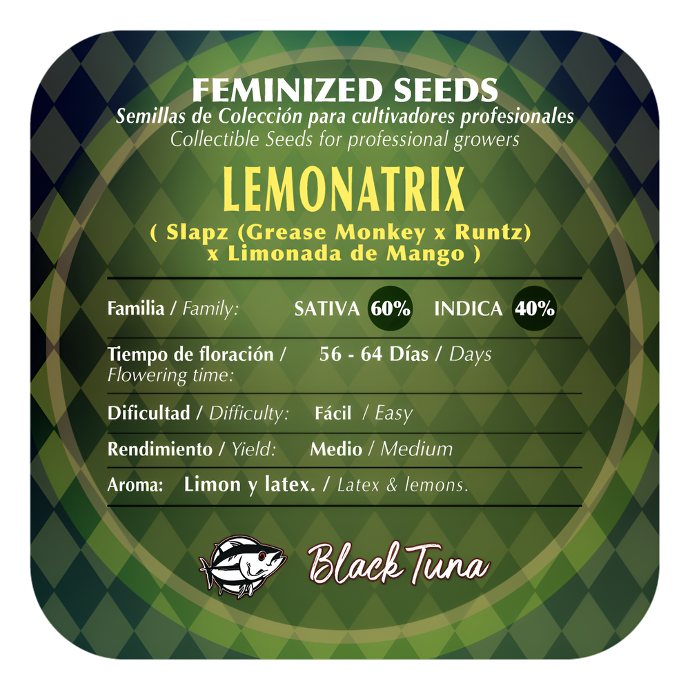 Lemonatrix Semillas Feminizadas | Black Tuna Seeds