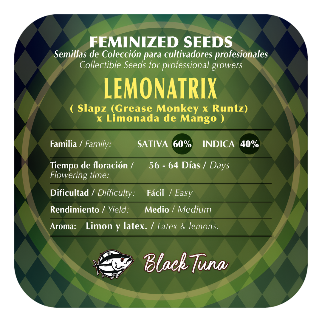 Lemonatrix Semillas Feminizadas | Black Tuna Seeds