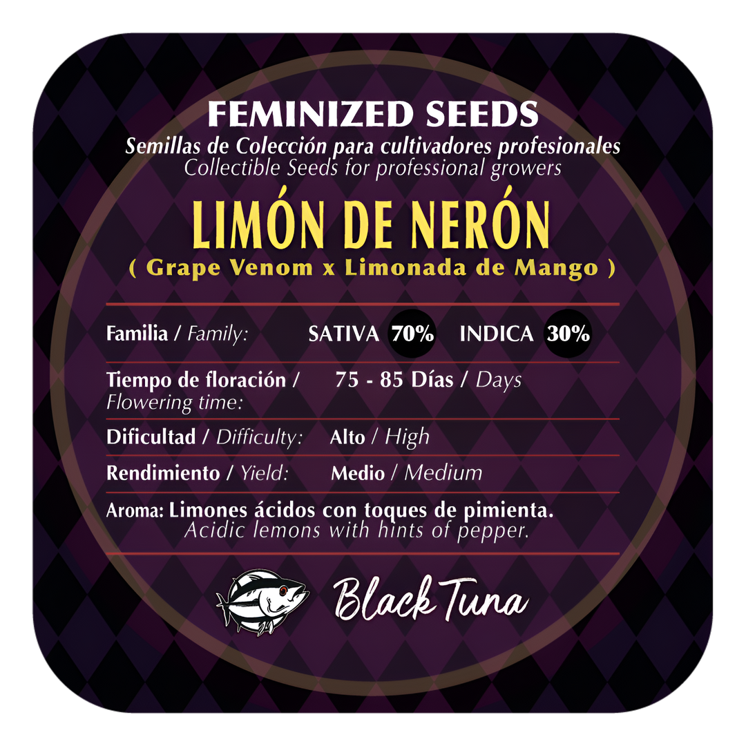 Limón de Nerón Semillas Feminizadas | Black Tuna Seeds