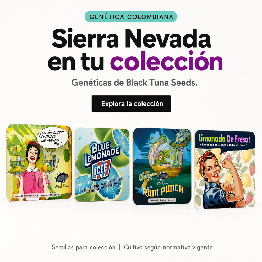 Semillas de colección Black Tuna Seeds, banco de la Sierra Nevada de Santa Marta — cultivo según normativa vigente.