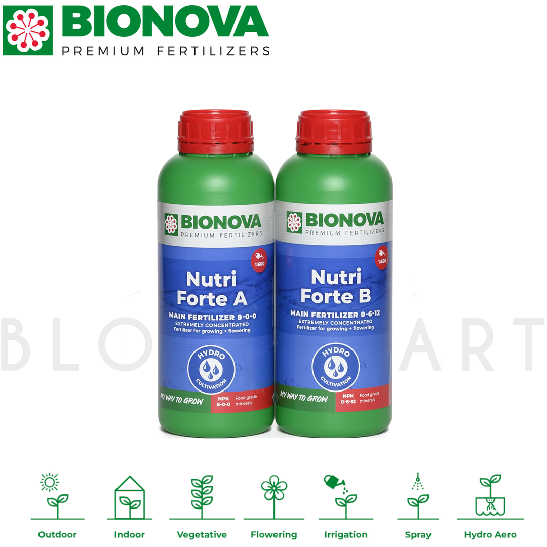 Bionova Nutri Forte A+B 1 litro – fertilizante hidropónico de dos componentes