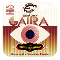 Etiqueta de Gaira, semillas regulares de colección de Black Tuna Seeds