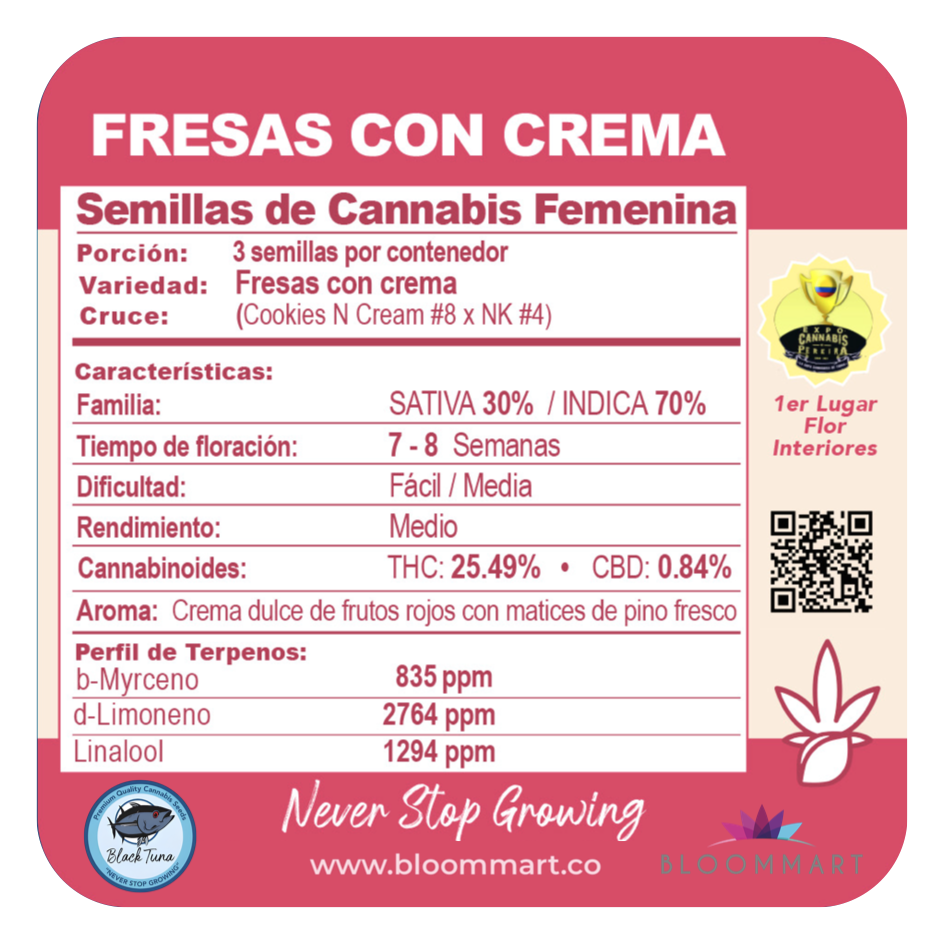 Fresas con Crema - Black Tuna Seeds