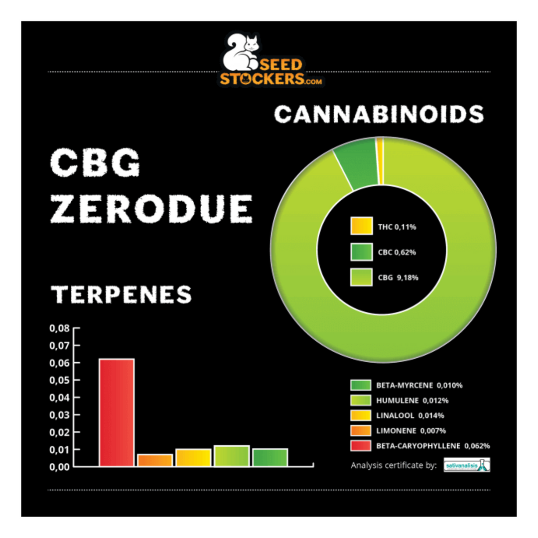 CBG Zerodue - Seedstockers
