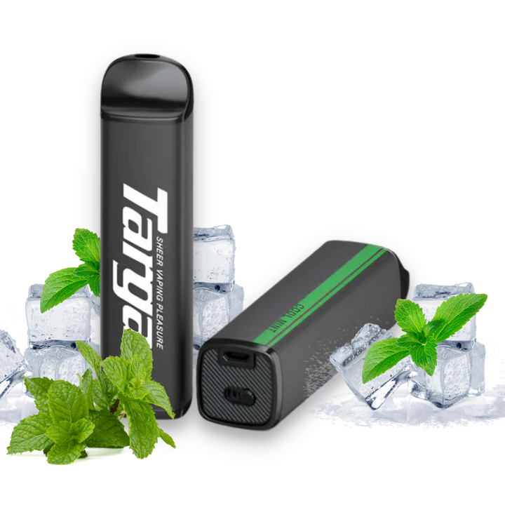 Targa 4000 Puff Cool Mint - Vaporizador Desechable
