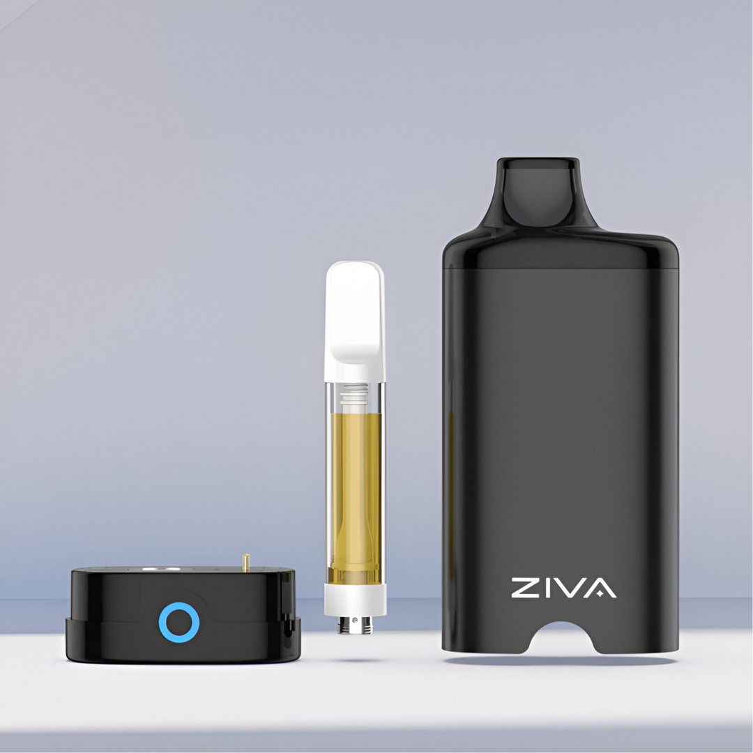 Vaporizador Yocan ZIVA