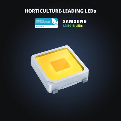 Panel LED Viparspectra P1000