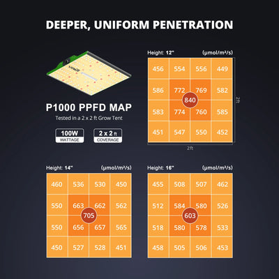 Panel LED Viparspectra P1000