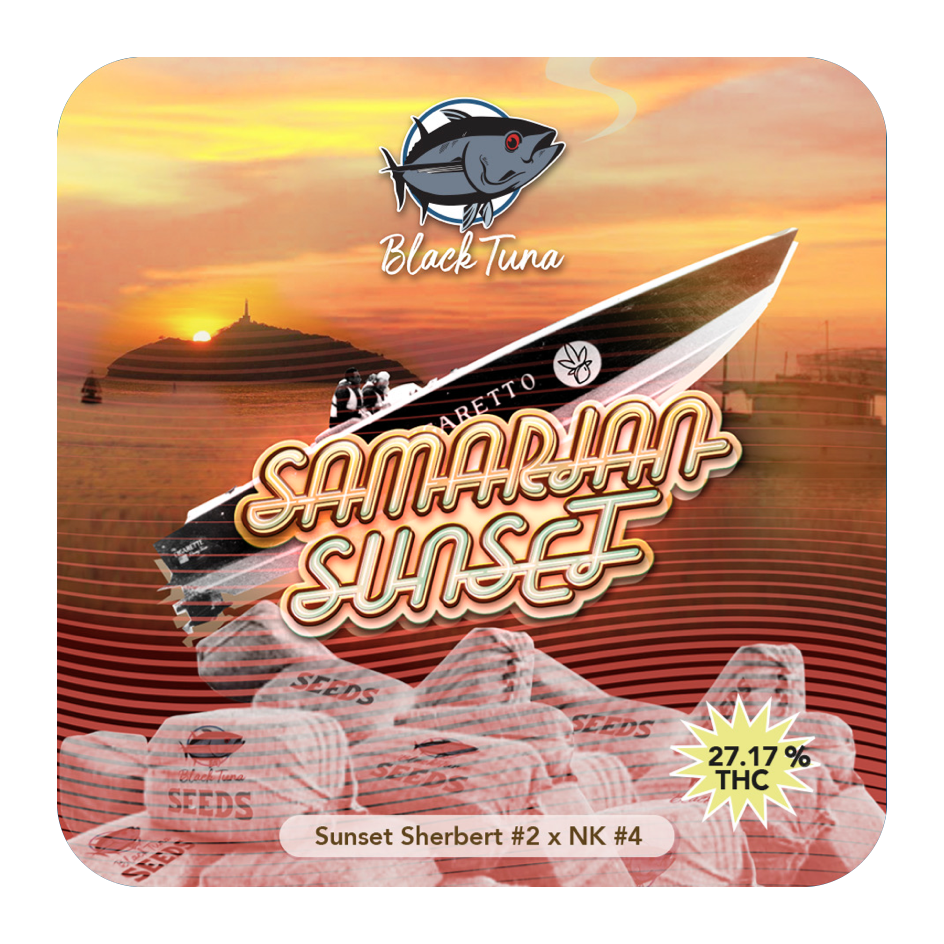 Samarian Sunset - Black Tuna Seeds