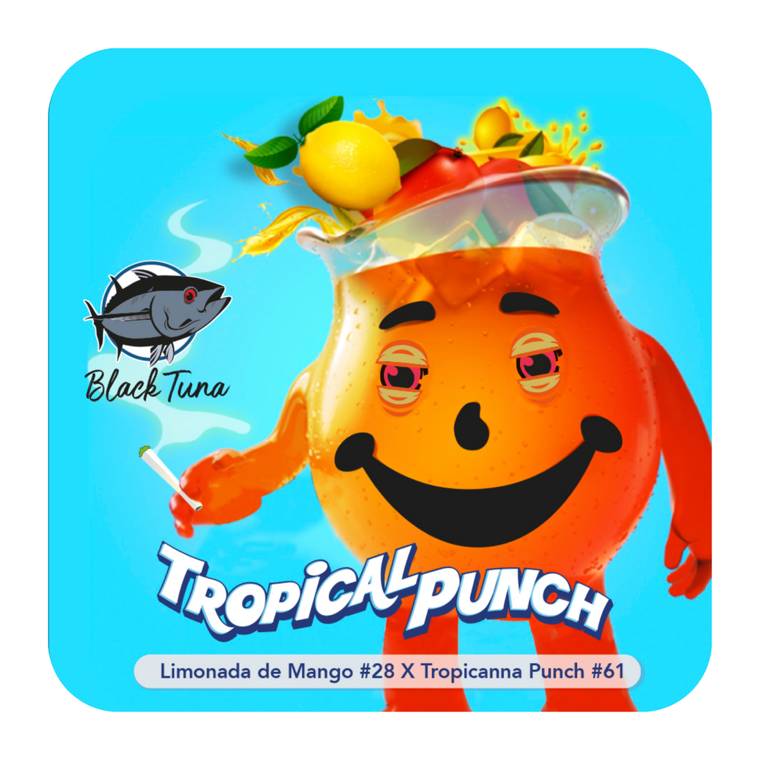 Tropical Punch - Black Tuna Seeds