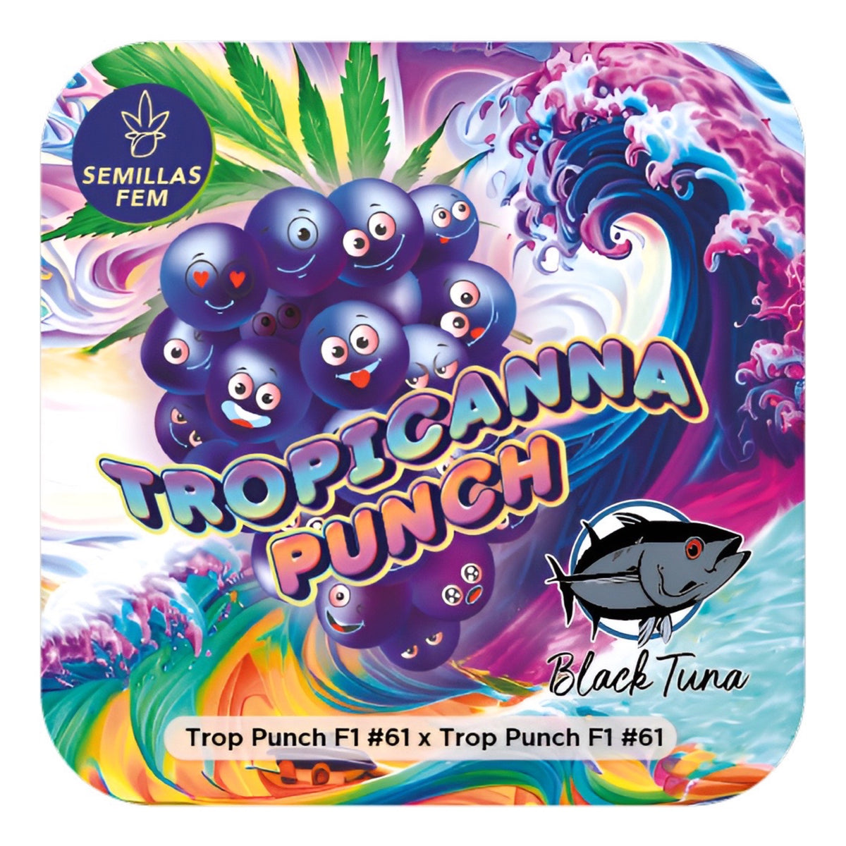 Etiqueta frontal de las semillas de colección Tropicanna Punch de Black Tuna Seeds con el sello Semillas Fem