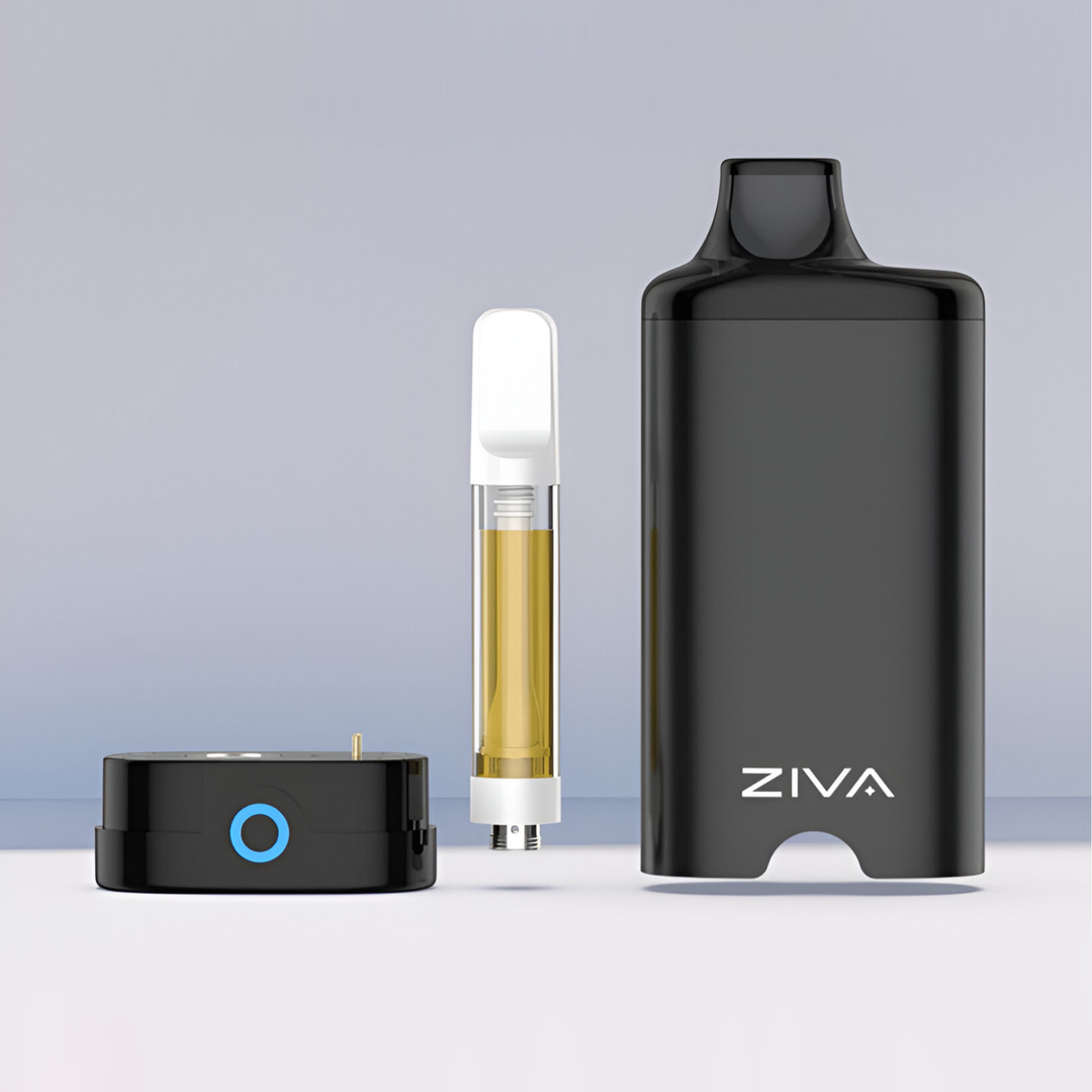 Vaporizador Yocan ZIVA