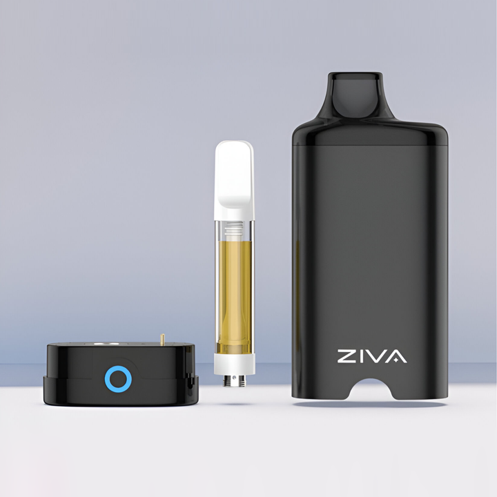 Vaporizador Yocan ZIVA