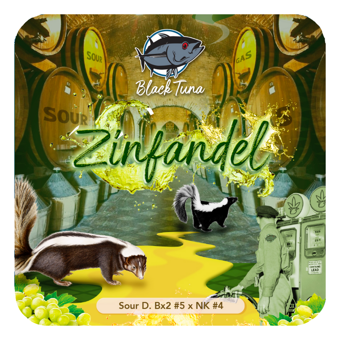 Zinfandel - Black Tuna Seeds