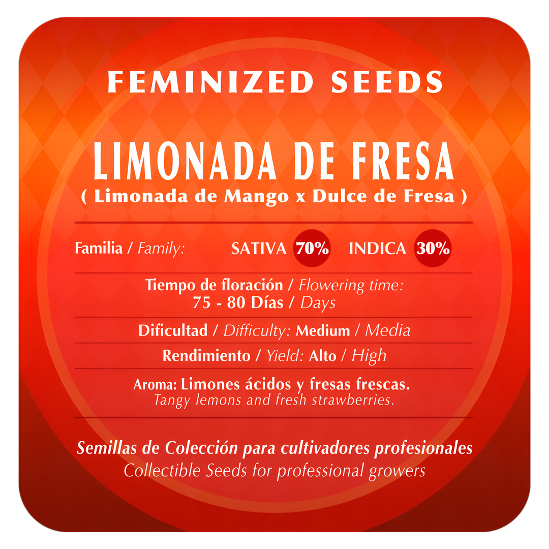 Semillas Limonada de Fresa Black Tuna Seeds