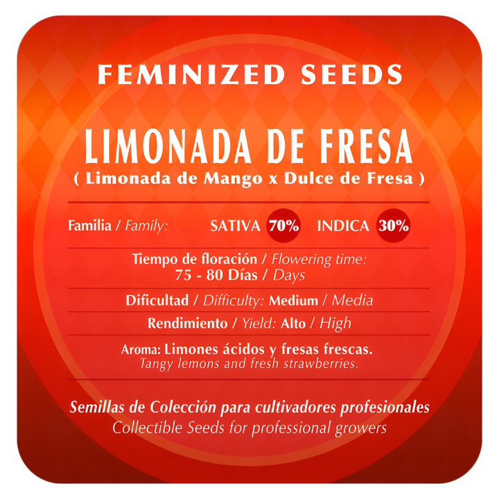 Semillas Limonada de Fresa Black Tuna Seeds