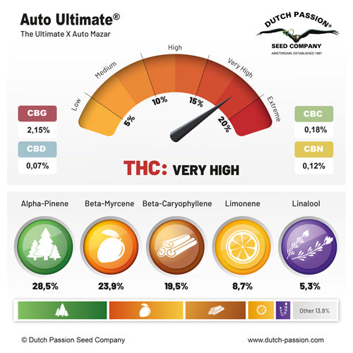 Auto Ultimate - Dutch Passion