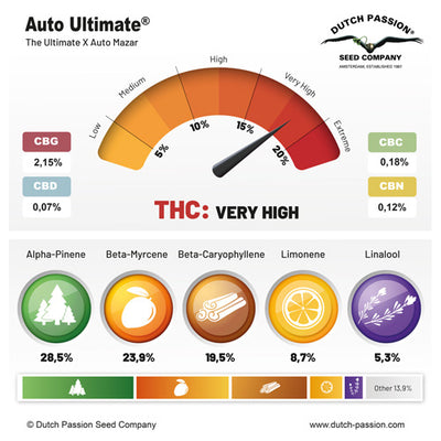Auto Ultimate - Dutch Passion