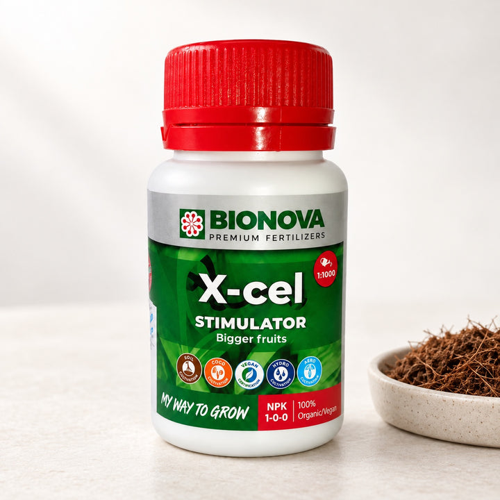 Bionova X-cel de 100 ml junto a sustrato de cultivo