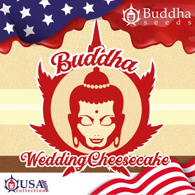 Wedding Cheescake - Buddha Seeds