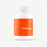 Cordyceps en Cápsulas – Hongo Funcional en Colombia