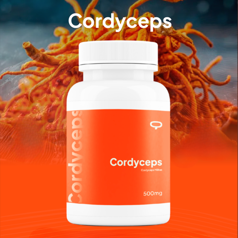 Cordyceps en Cápsulas – Hongo Funcional para Energía y Vitalidad | Bloommart