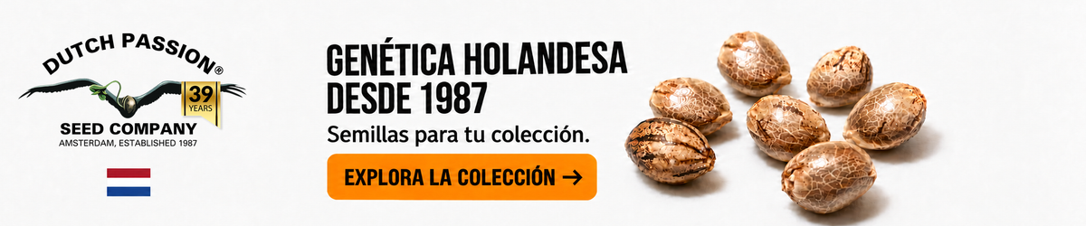 Dutch Passion: genética holandesa desde 1987. Semillas para tu colección.