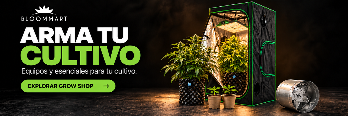 Arma tu cultivo en Bloommart: plantas, carpa, iluminación LED, extractor y macetas.