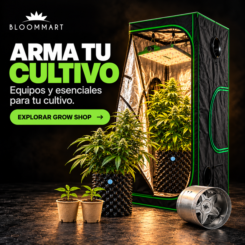 Arma tu cultivo en Bloommart: plantas, carpa, iluminación LED, extractor y macetas.
