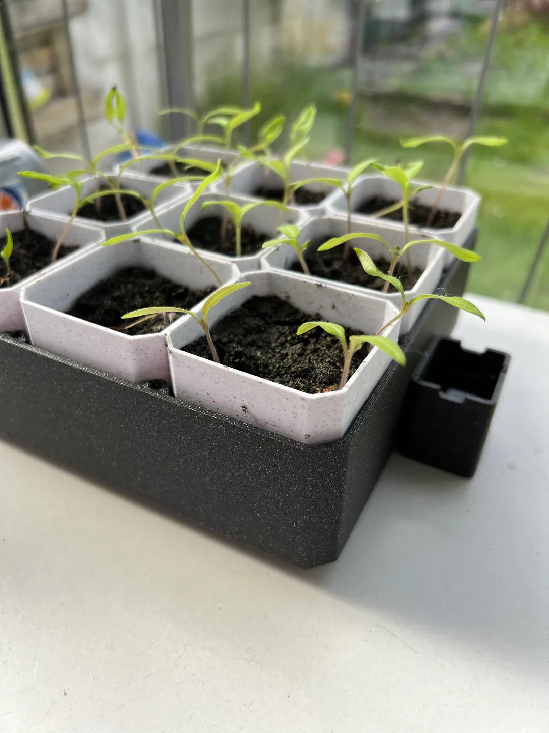 Sistema de germinación automático GreenGrow