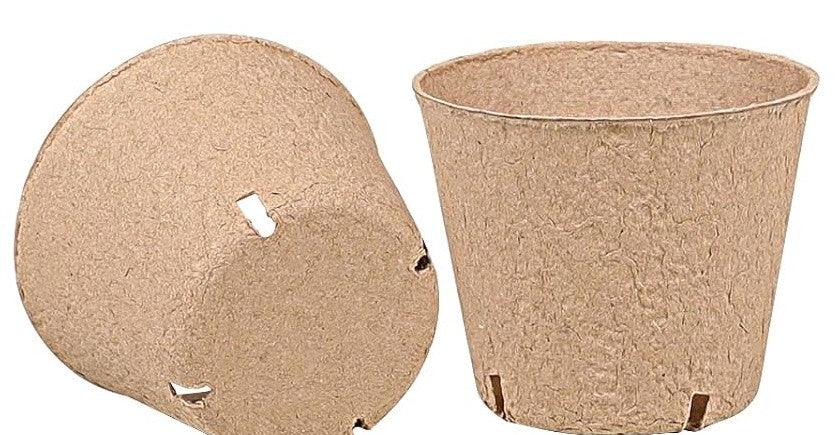 Base de la maceta de turba con sus cuatro orificios de drenaje, junto a una maceta de perfil