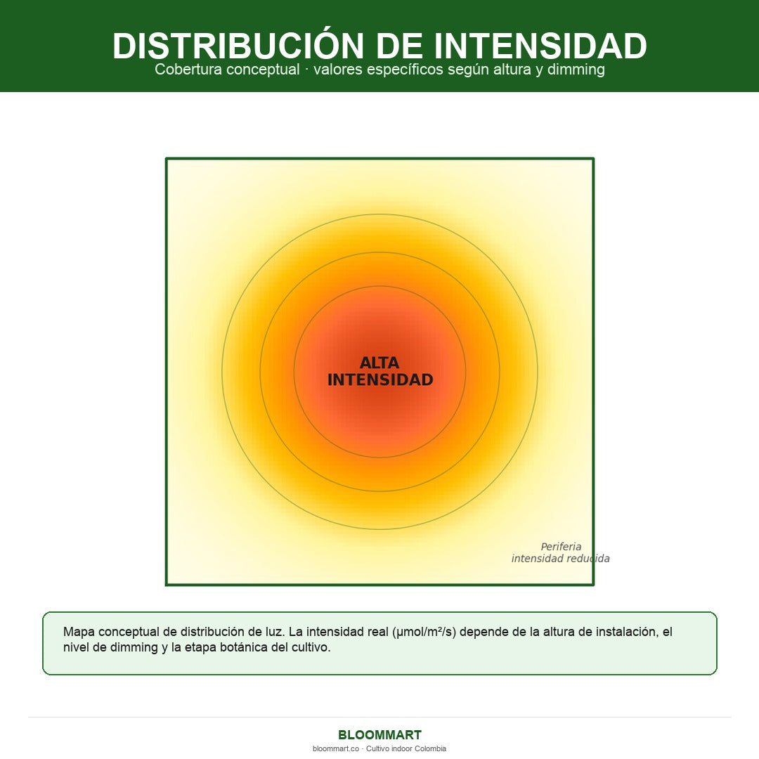 Distribución de intensidad lámpara LED Mars Hydro TS-1000 cobertura cultivo indoor