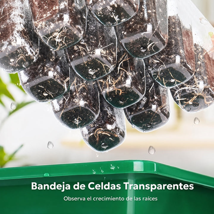 Celdas transparentes MIXC con raíces visibles y orificios de drenaje