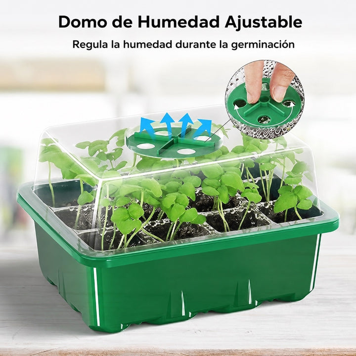 Bandeja de Germinación MIXC de 12 Celdas con domo de humedad ajustable