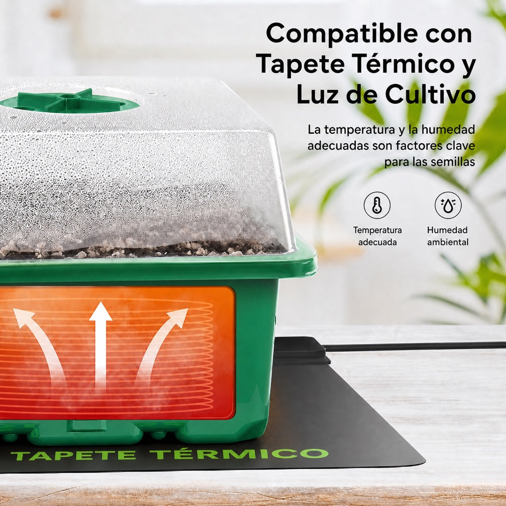 Bandeja de germinación MIXC sobre tapete térmico y bajo luz de cultivo
