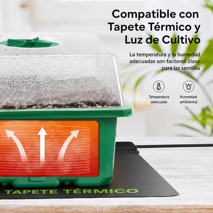 Bandeja de germinación MIXC sobre tapete térmico y bajo luz de cultivo