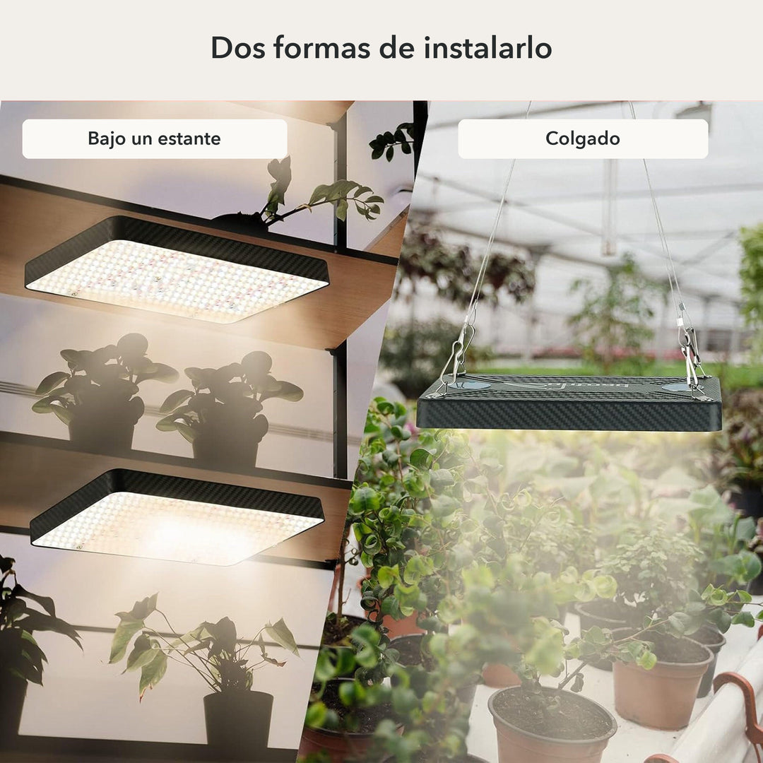 Panel LED 200W instalado bajo un estante y colgado sobre plantas